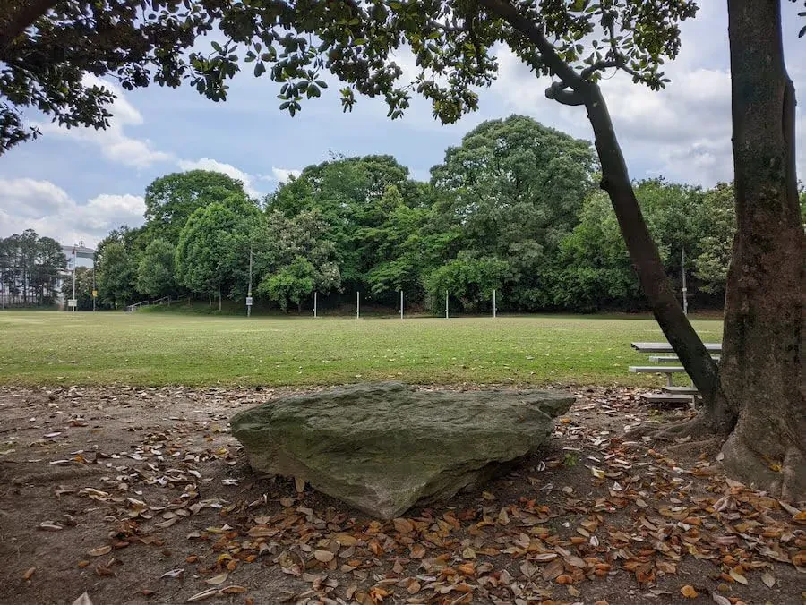 Large flat rock under the shade of a tree. A grassy playing field is in the background